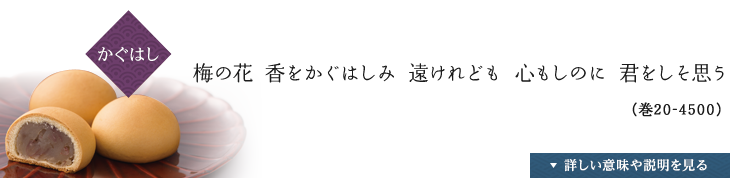 〈かぐはし〉梅の花 香をかぐはしみ 遠けれども 心もしのに 君をしそ思う（巻20-4500）,詳しい説明や意味を見る