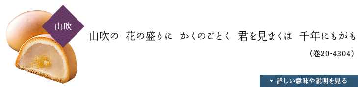 〈山吹〉山吹の 花の盛りに かくのごとく 君を見まくは 千年にもがも（巻20-4304）,詳しい説明や意味を見る